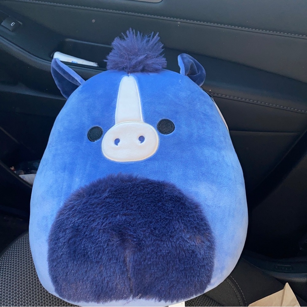 Caden the Horse RARE Squishmallows 2023 Release 11”